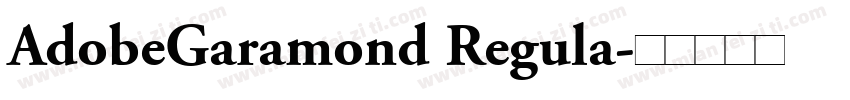 AdobeGaramond Regula字体转换